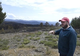 Antonio Mateos, en la zona de alta montaña de Descargamaría donde pastorea.