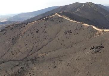 Del verde manto al negro carbonizado: así ha quedado la zona tras el incendio