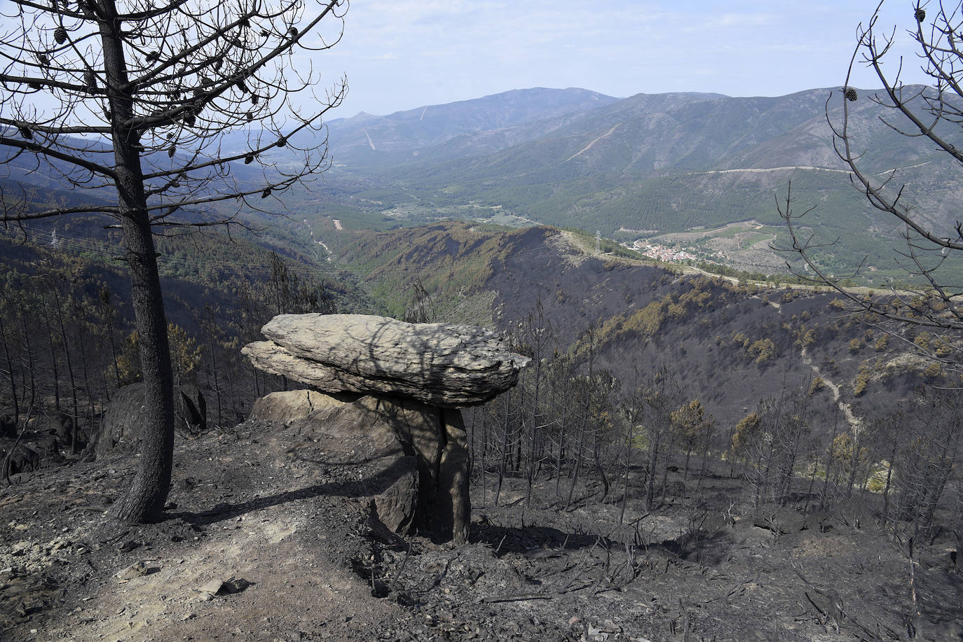 Imagen de parte de la zona incendiada.