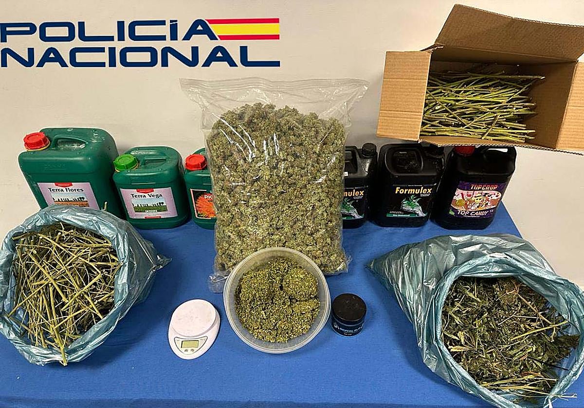 Parte del material incautado en la operación de la Policía en Mérida.