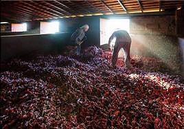 Secadero de pimentón en un municipio de La Vera.