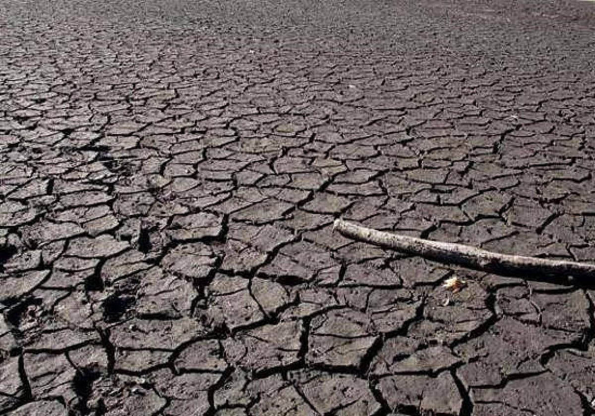 Imagen de archivo de los estragos de la sequía en Extremadura.