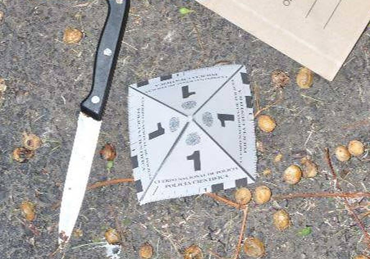 Cuchillo utilizado por el supuesto autor de los hechos para cometer los robos.