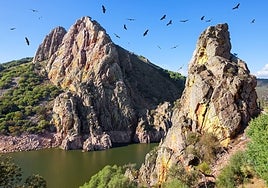 Los mayores en Monfragüe