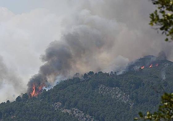 Fuego en Pinofranqueado.