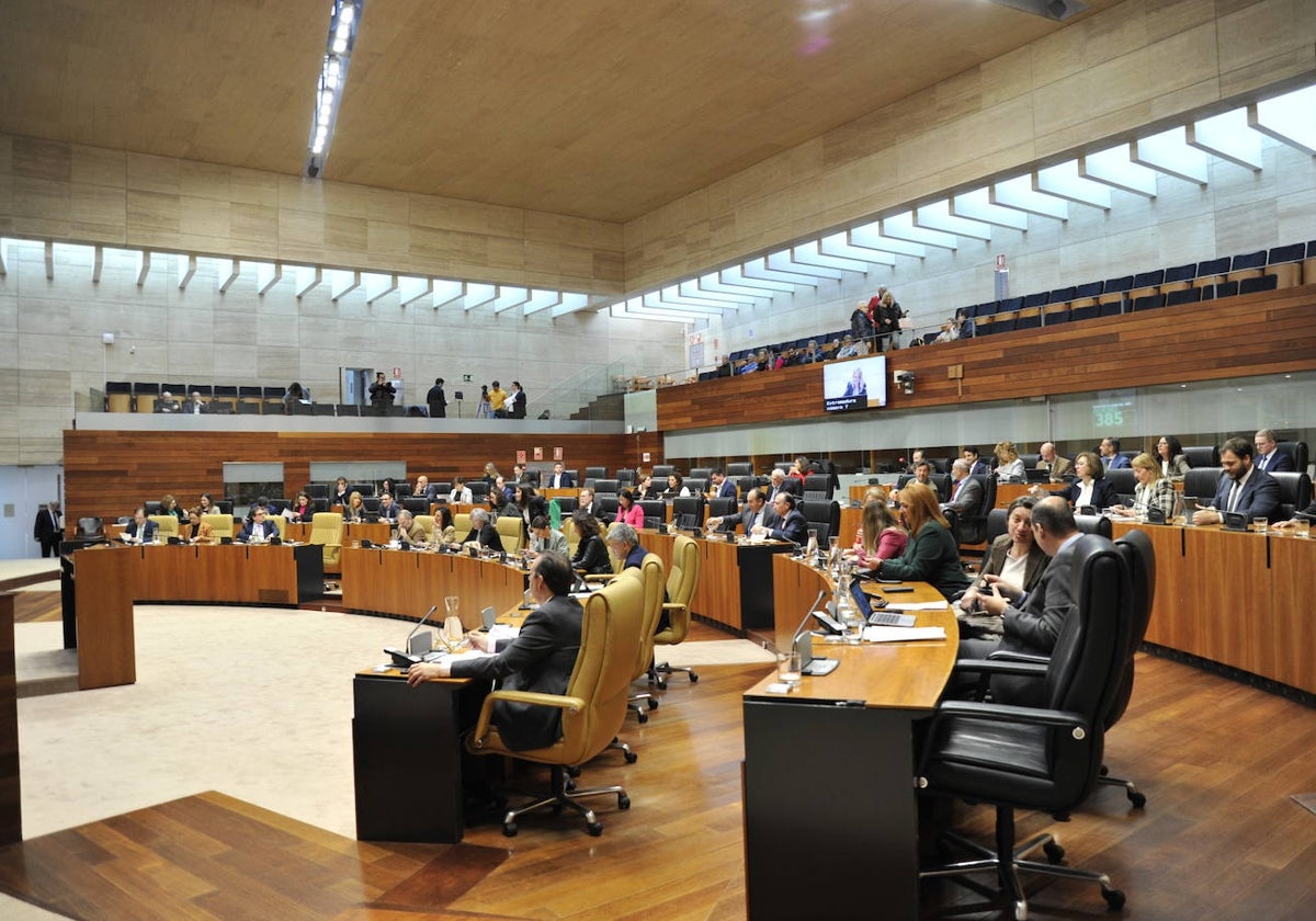 Pleno celebrado en la Asamblea de Extremadura.