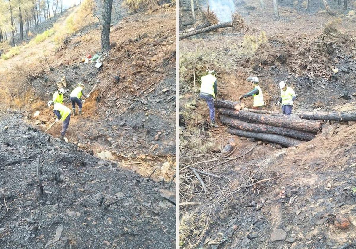 La Confederación Hidrográfica del Tajo trabaja en la recuperación de cauces tras el incendio