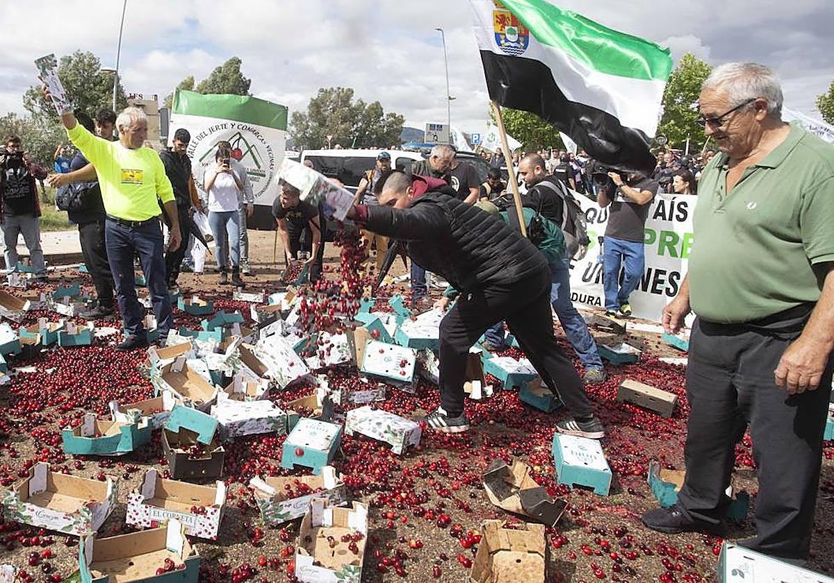 Cereceros extremeños se manifiestan para pedir ayudas por la pérdida de 70 millones