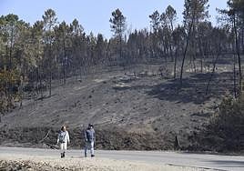 El daño forestal del incendio de Las Hurdes y Sierra de Gata roza los 75 millones de euros