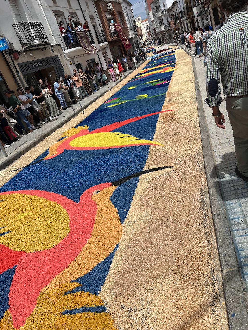 Alfombras efímeras en el Corpus de San Vicente