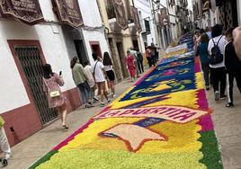 Alfombras efímeras en el Corpus de San Vicente