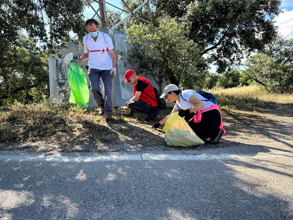 Recogida en Cáceres.