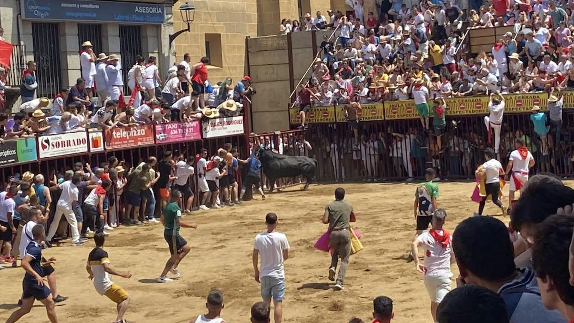 Intervenido el hombre corneado por un toro en los Sanjuanes de Coria este  domingo | Hoy