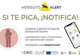 Extremadura pide colaboración ciudadana con Mosquito Alert para prevenir enfermedades transmitidas por mosquitos