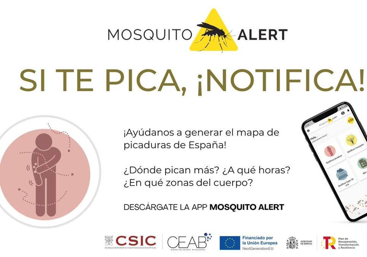 Extremadura pide colaboración ciudadana con Mosquito Alert para prevenir enfermedades transmitidas por mosquitos