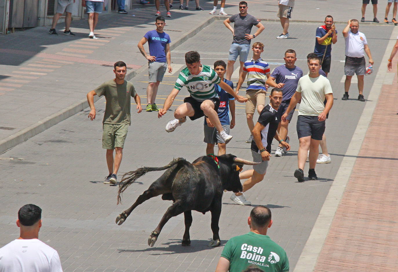 El último encierro de los Sanjuanes de Coria, en imágenes