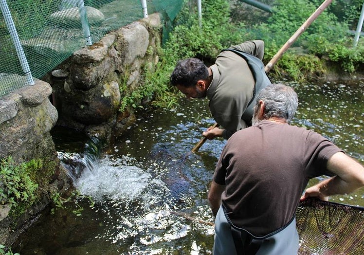 Punto de incorporación de las aguas del centro al cauce fluvial.