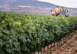 El Premio a la mejor tesis doctoral está dotado con 5.000 euros y el accésit, con 1.000 euros.