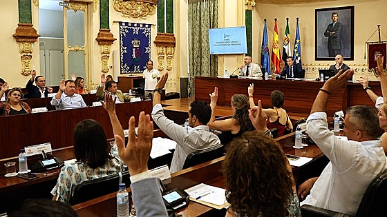 Quince diputados del PSOE y uno del PP tendrán sueldo en la Diputación de Badajoz