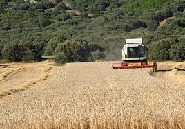 Tractores, máquinas automotrices y máquinas arrastradas o suspendidas entran en el plan renove.