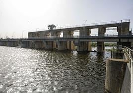Presa de Montijo, de la que salen las tomas de las dos comunidades de regantes.