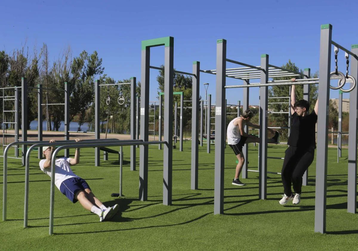Calistenia para principiantes en el parque: los ejercicios con los que  puedes comenzar a entrenar en las barras