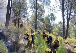 Se declara extinguido el incendio forestal de La Vera que ha arrasado 100 hectáreas
