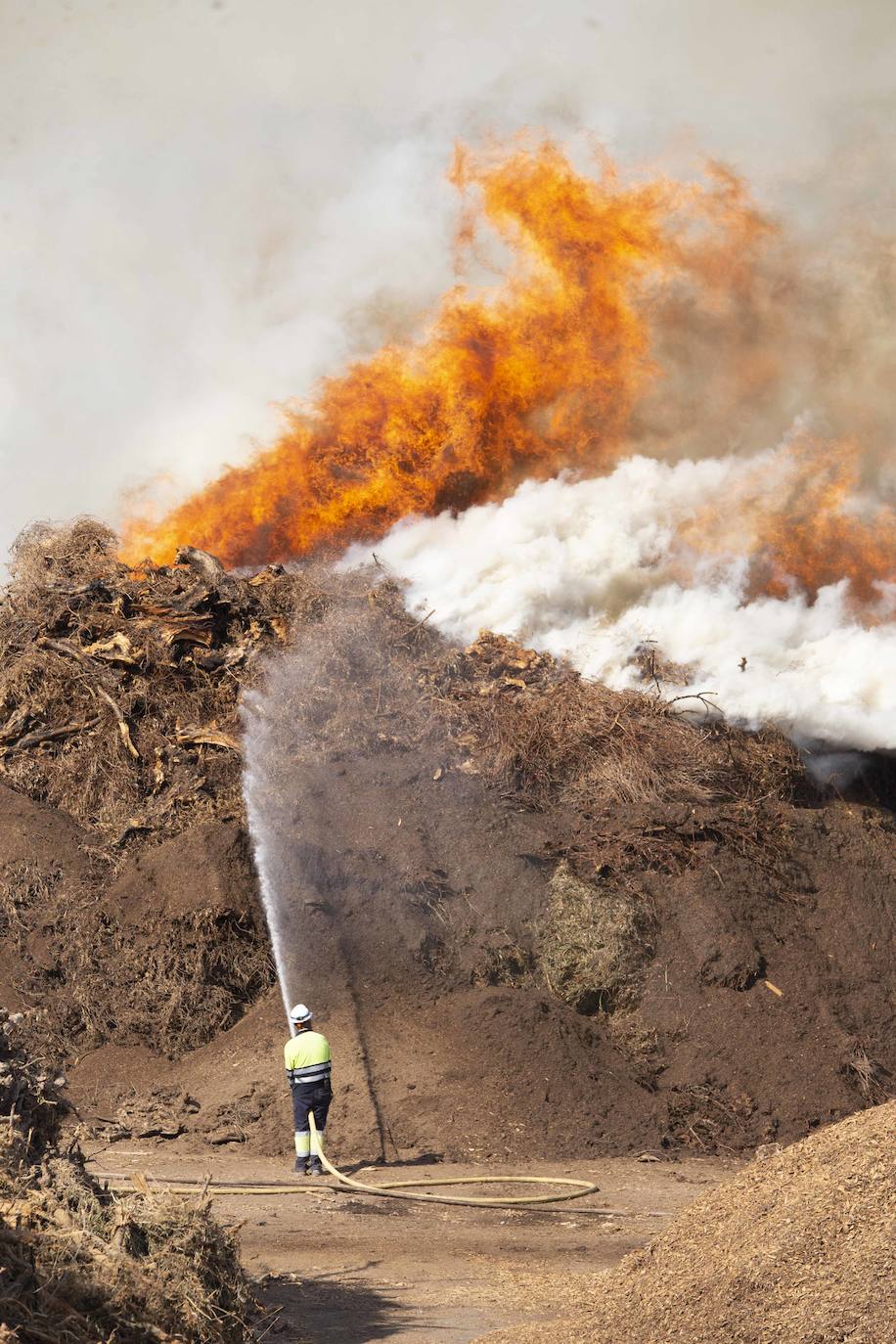 Así luchan los bomberos contra las llamas en la planta de Biomasa de Mérida (II)