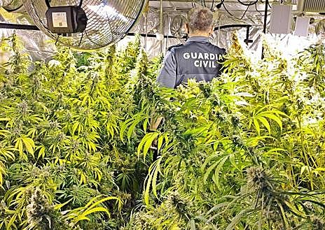 Imagen secundaria 1 - Imágenes de los invesnaderos y el secadero.