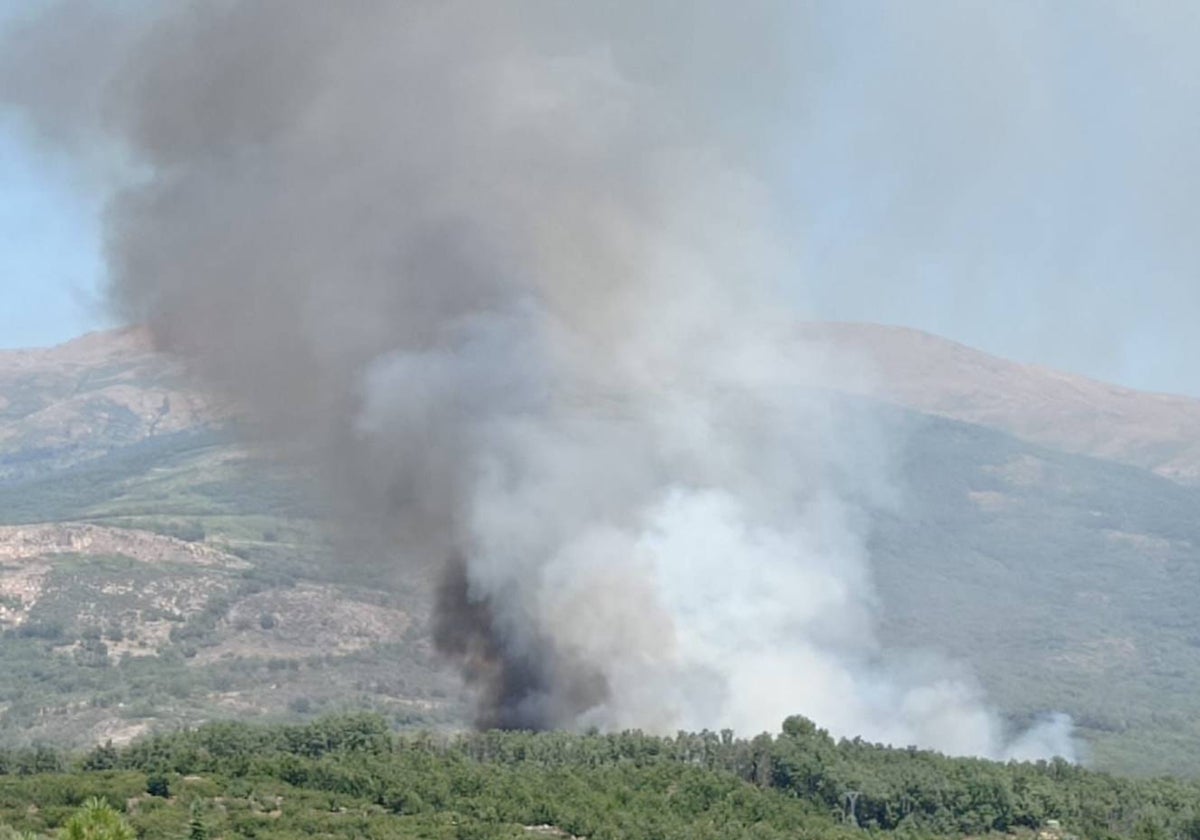 Incendio ayer en Jaraíz de la Vera. Se sofocó a última hora de la tarde.