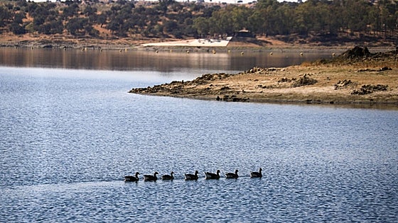 Los embalses extremeños del Guadiana, al 26,9% de su capacidad