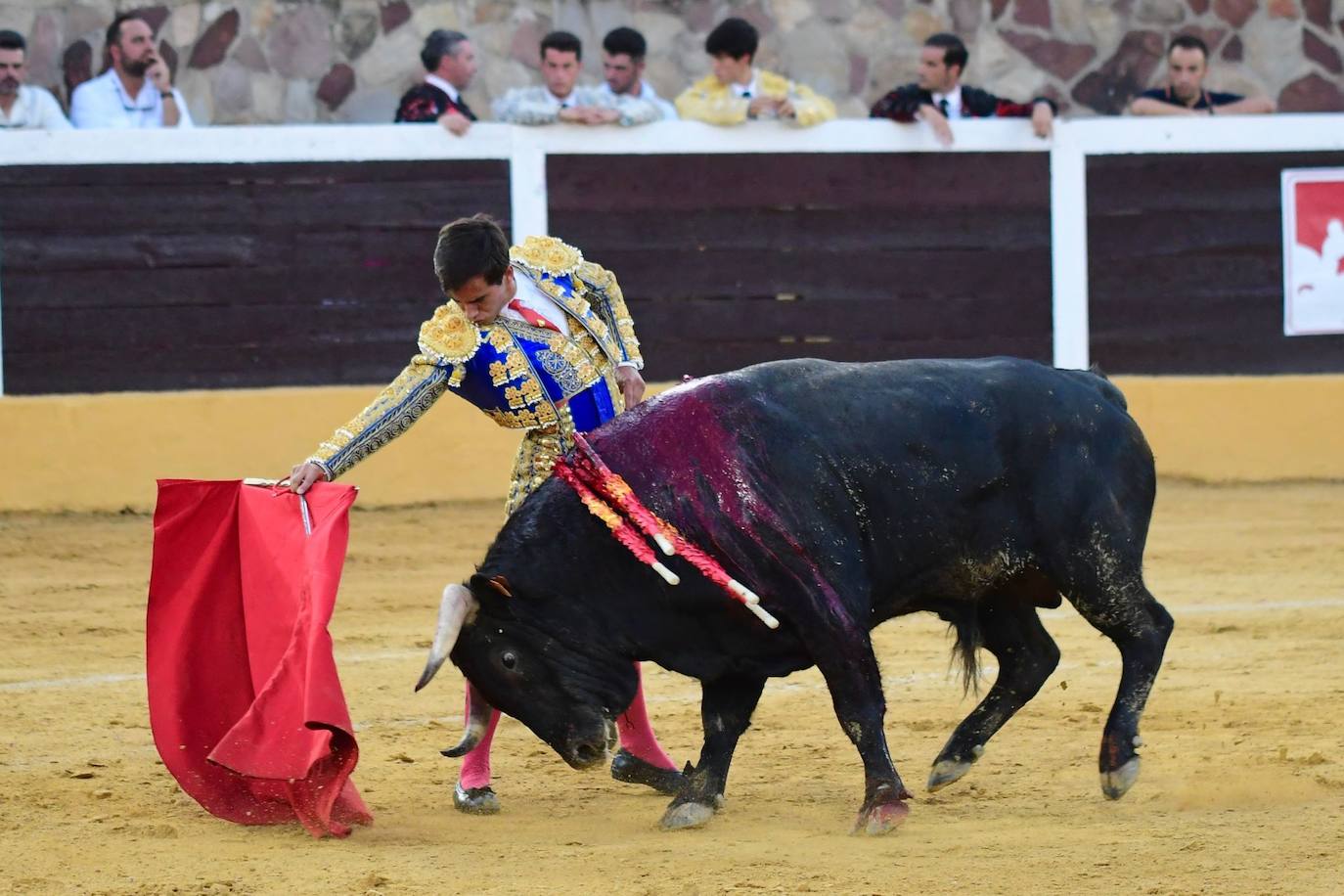 El primer Circuito de Novilladas de Extremadura, en imágenes