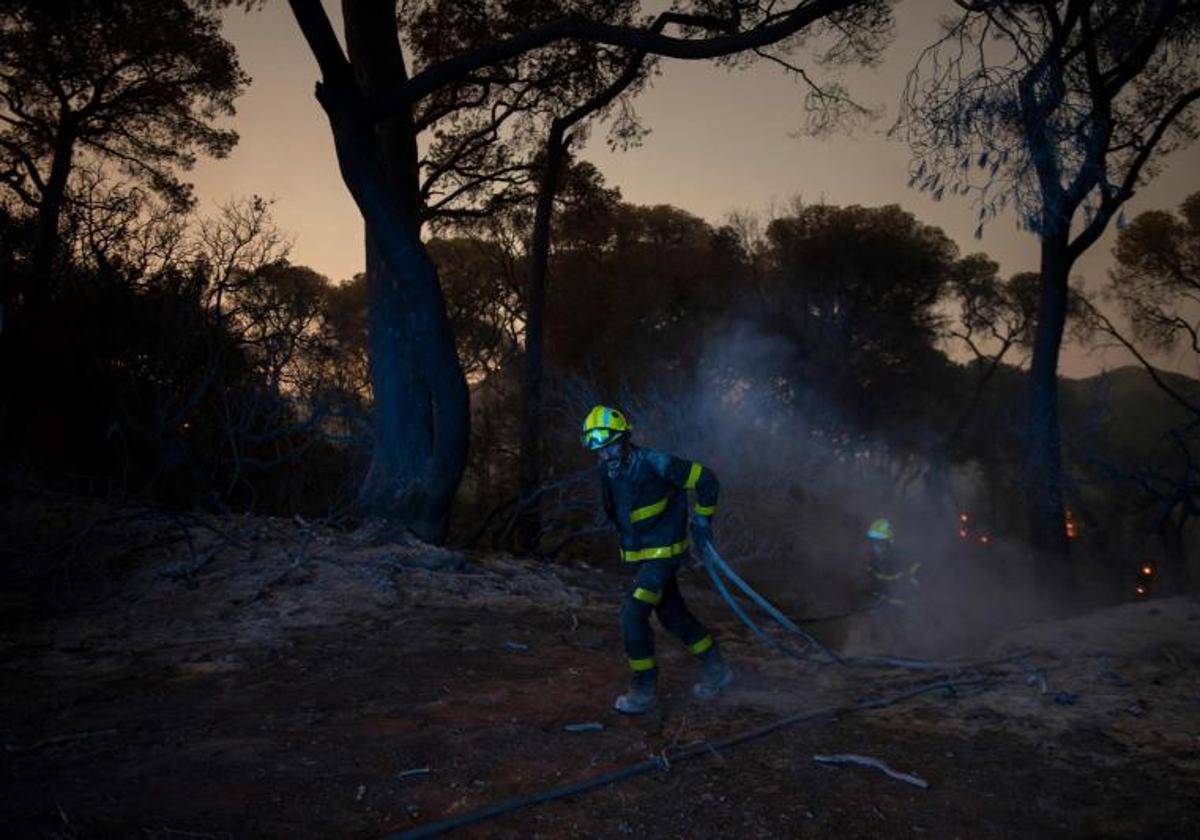 Evolución «favorable» del incendio que este domingo cerró la autopista Sevilla-Cádiz