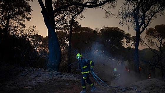 Evolución «favorable» del incendio que este domingo cerró la autopista Sevilla-Cádiz