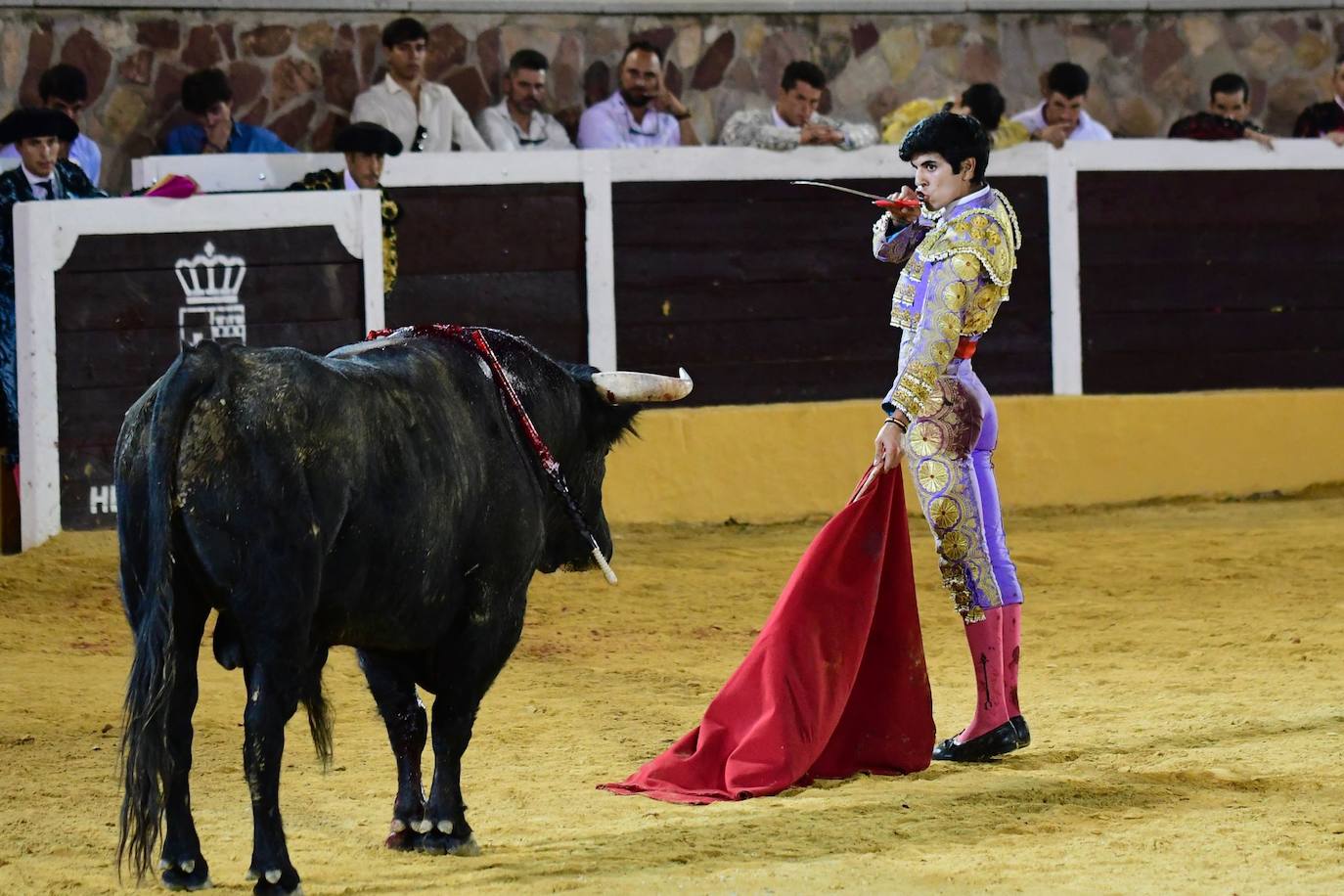 El primer Circuito de Novilladas de Extremadura, en imágenes