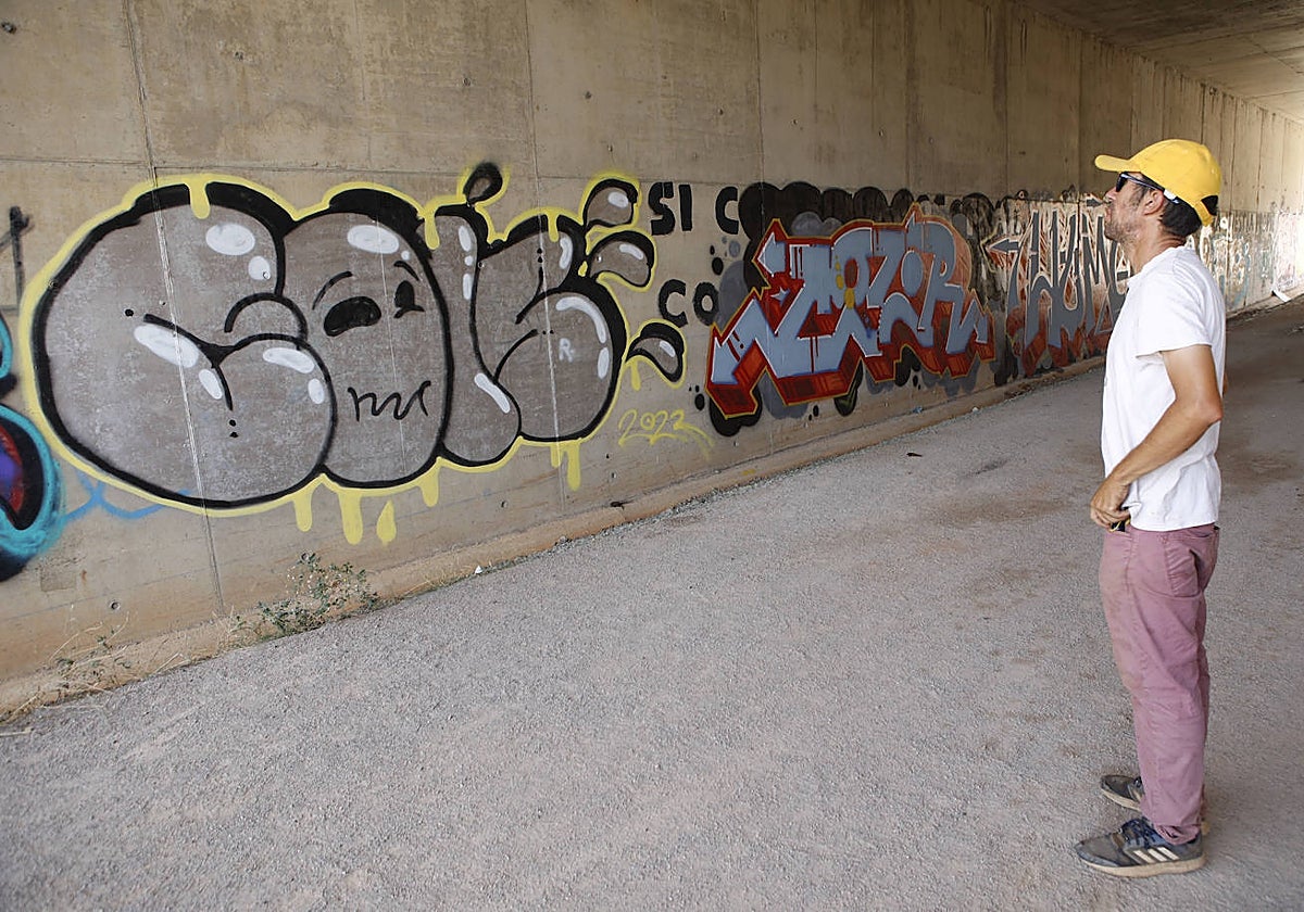 El presidente de Amigos de la Ribera observa la zona del paso peatonal inferior de la ronda con pintadas.