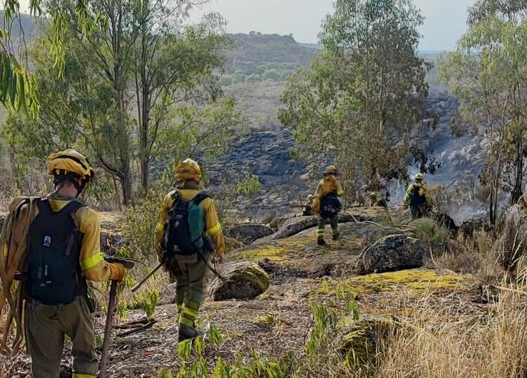 Bomberos forestales en la zona afectada por las llamas.