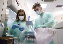 Dos técnicos de laboratorio trabajando con pruebas PCR.