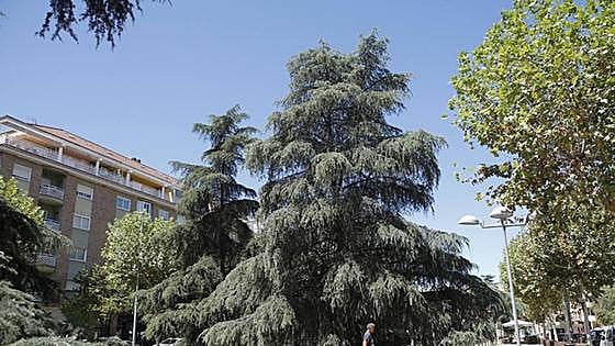 Lea las cinco noticias principales de este lunes, 14 de agosto de 2023