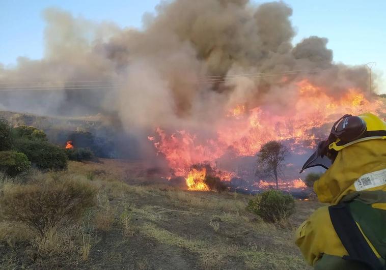 Bomberos luchando contra las llamas en el incendio de Jaraíz.