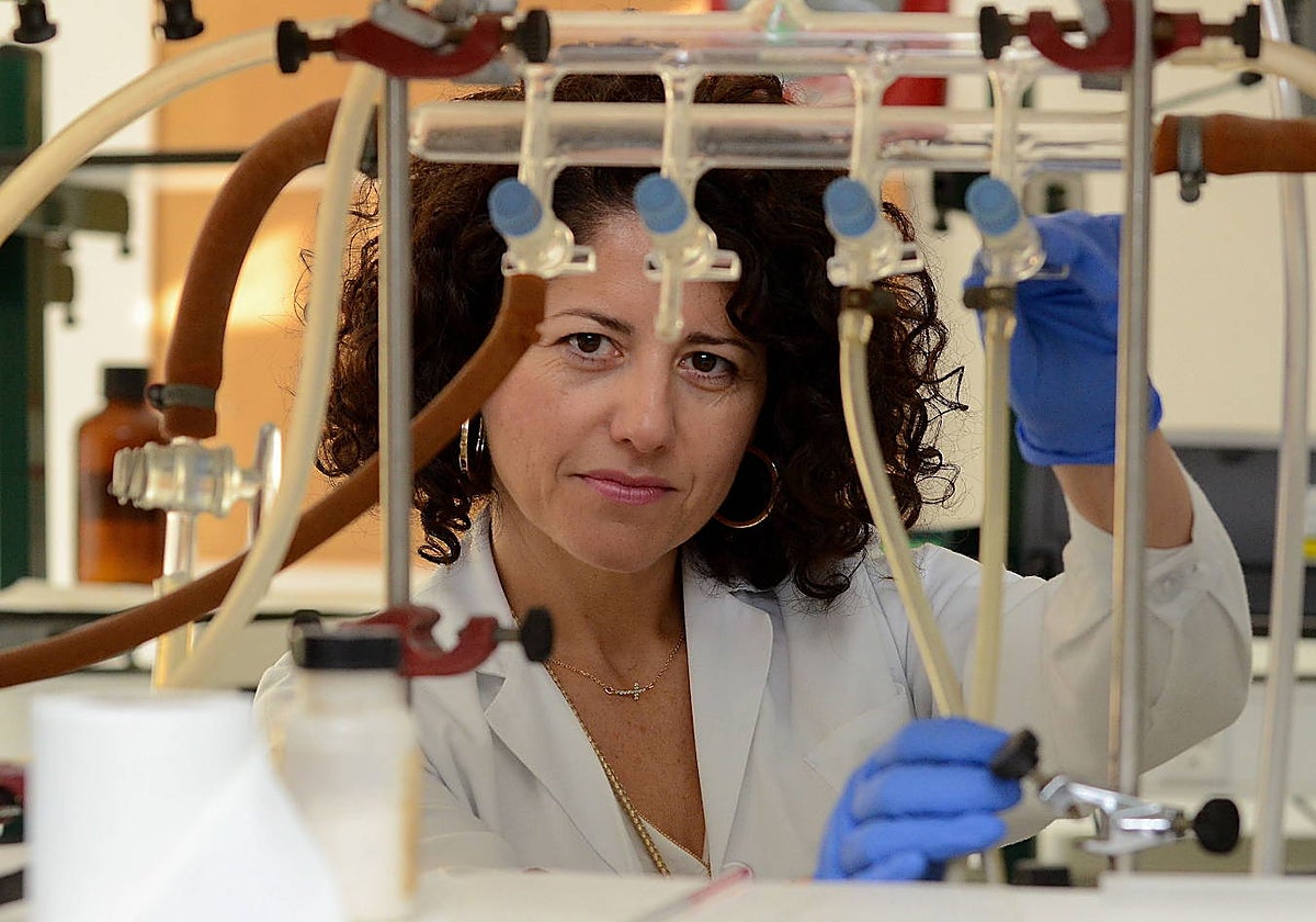 María Victoria Gil Álvarez en un laboratorio de la Facultad de Química de la Universidad de Extremadura.