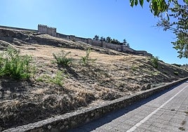 Imagen de la ladera de la Alcazaba, que este año apenas ha ardido porque ha sido frecuentemente desbrozada.