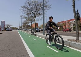 Carril bici en la avenida del Diario HOY.