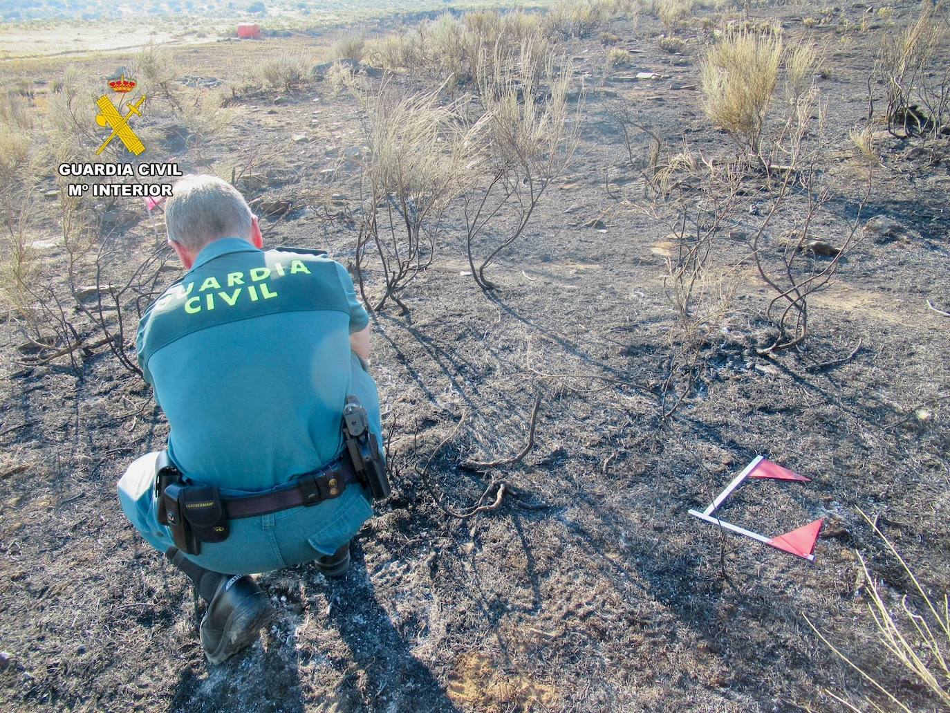 Un agente del Seprona en el lugar del incendio.