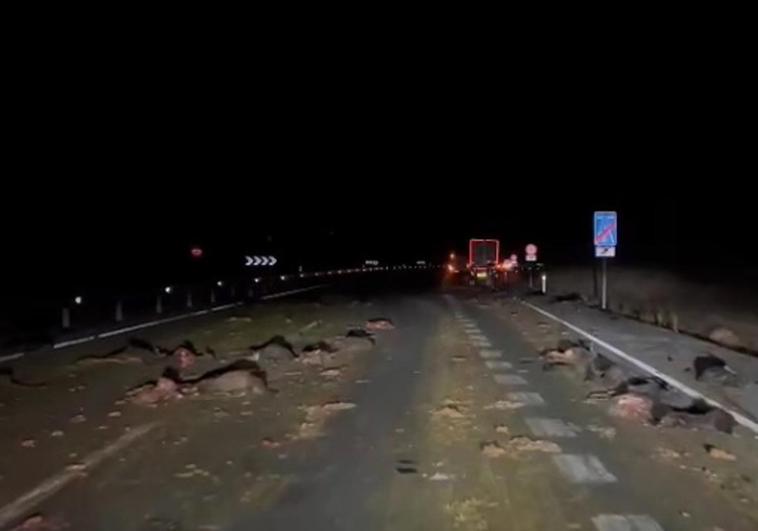 La calzada de la A-5, en sentido Badajoz, quedó llena de animales muertos.