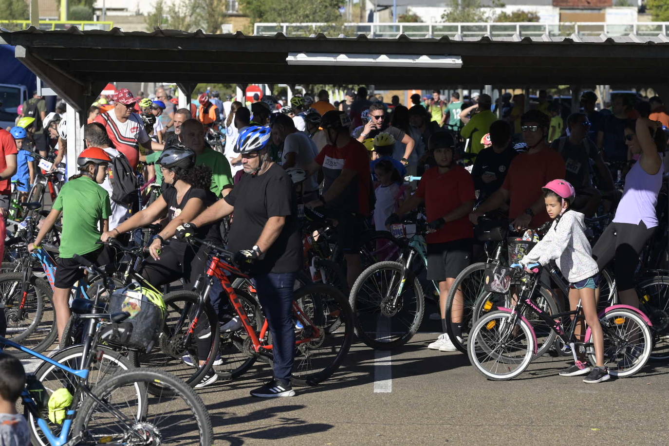 Día de la bicicleta, en imágenes (III)