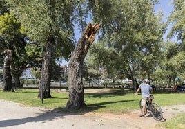 Las presuntas violaciones ocurrieron en agosto de 2022 en el Parque de la Isla de Plasencia.