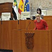 La Asamblea convalida con los votos de PP y Vox la rebaja fiscal de Guardiola