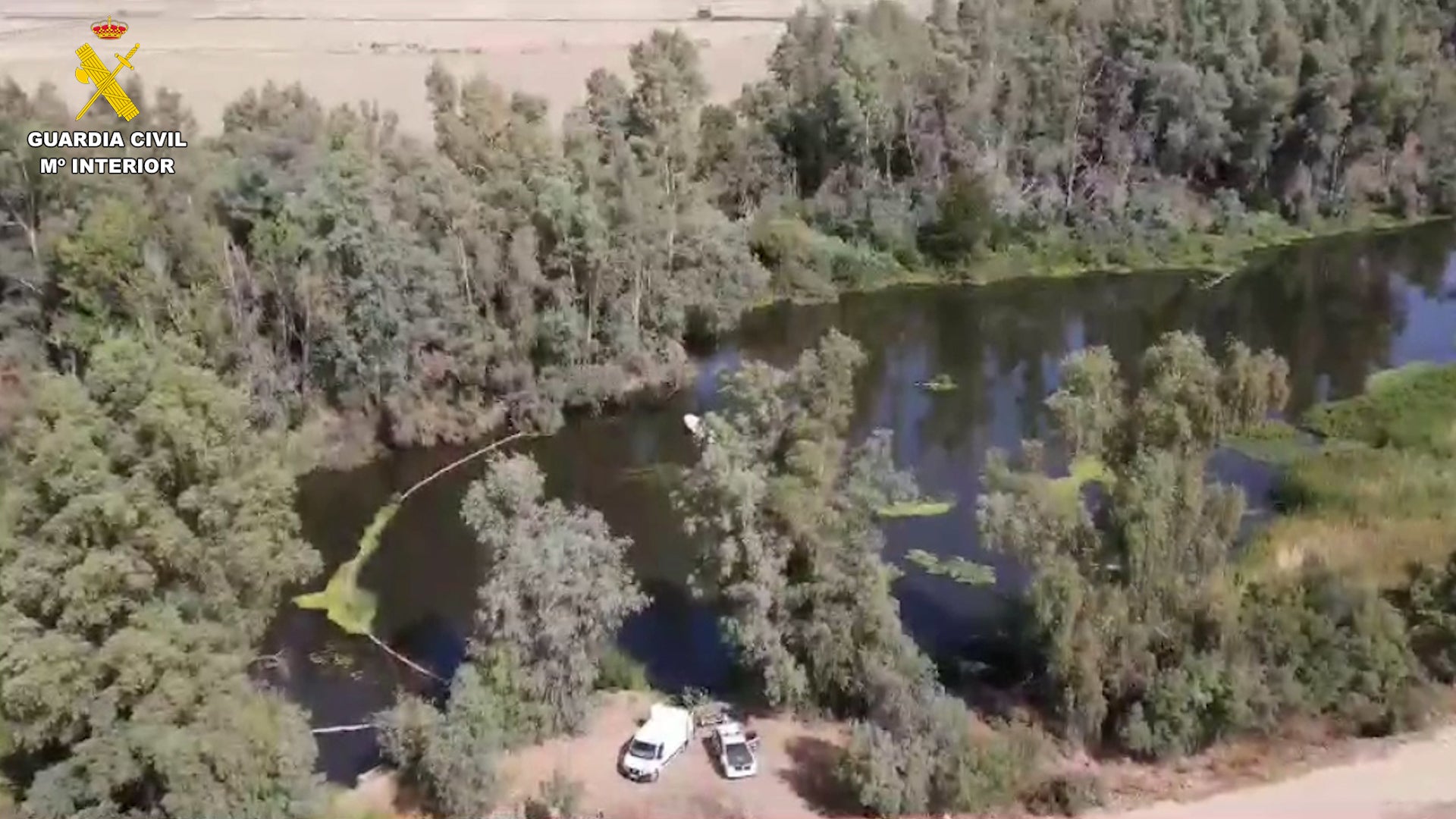 Los agentes han detenido a tres vecinos de San Pedro de Mérida y Valverde de Mérida, a los que se investiga por un presunto delito de cultivo de marihuana