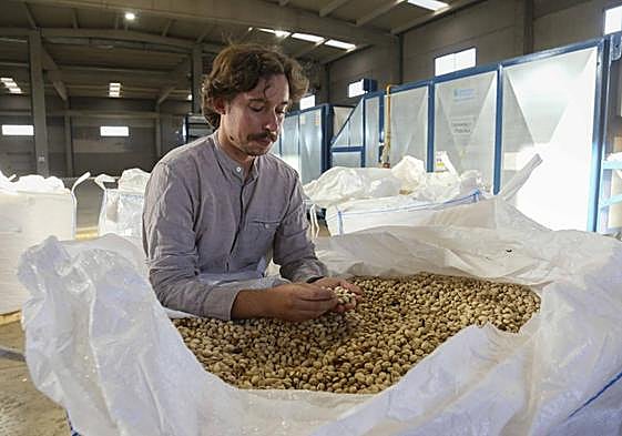 Daniel Trenado, con parte de la producción de pistacho que ha entrado estos días en la nave.